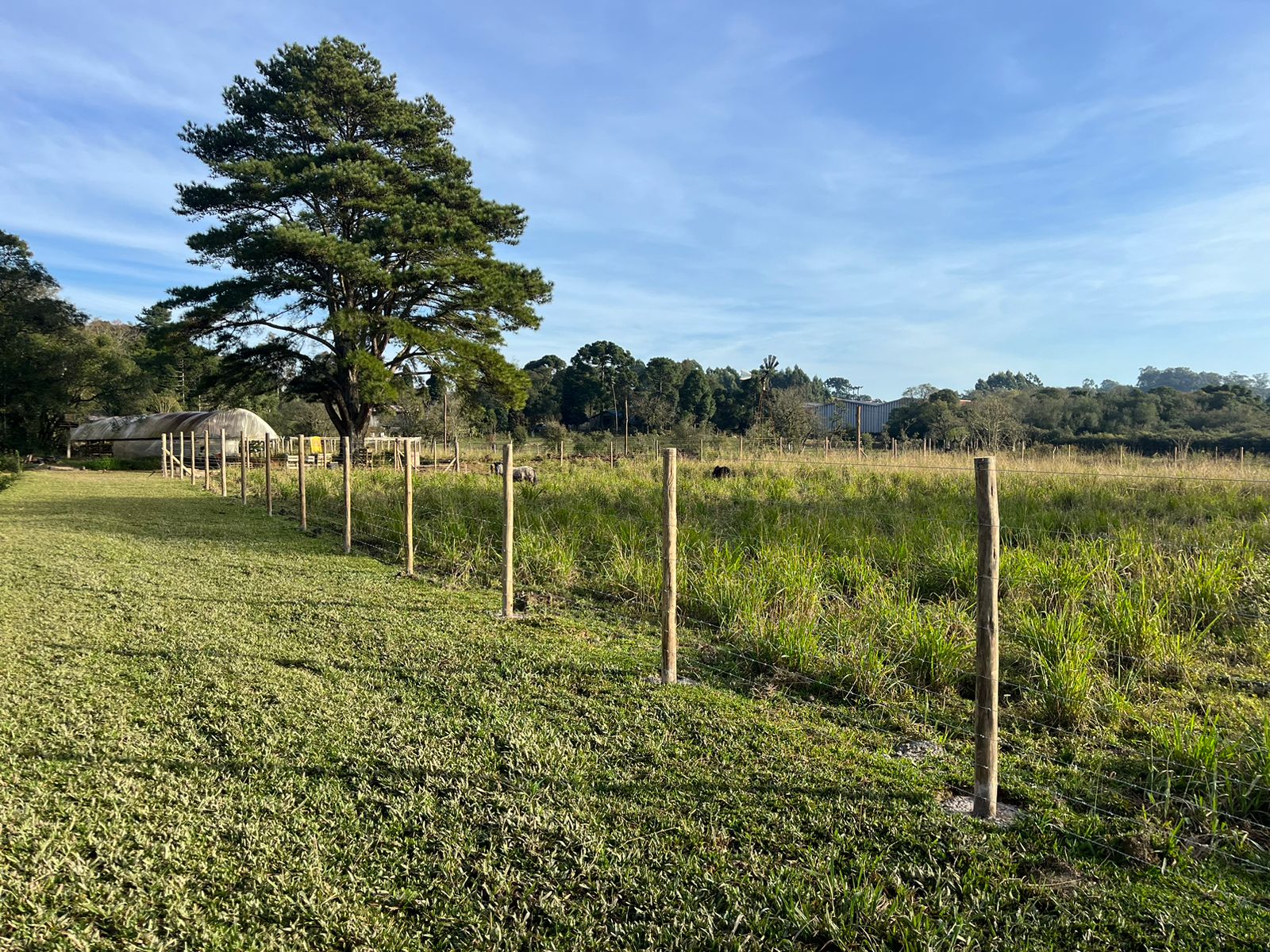 arame farpado  (4).jpeg