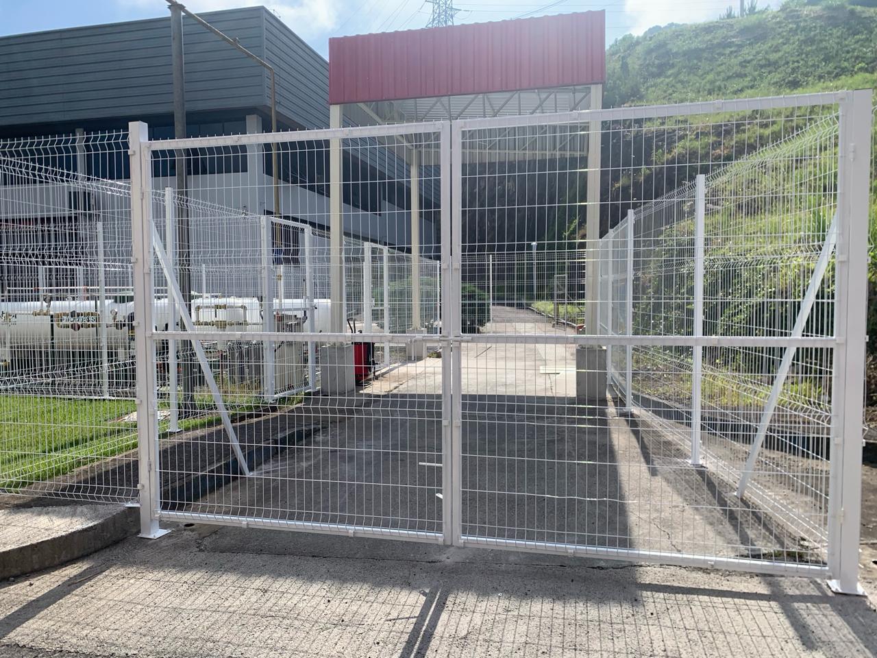 todeschini  (1).jpeg