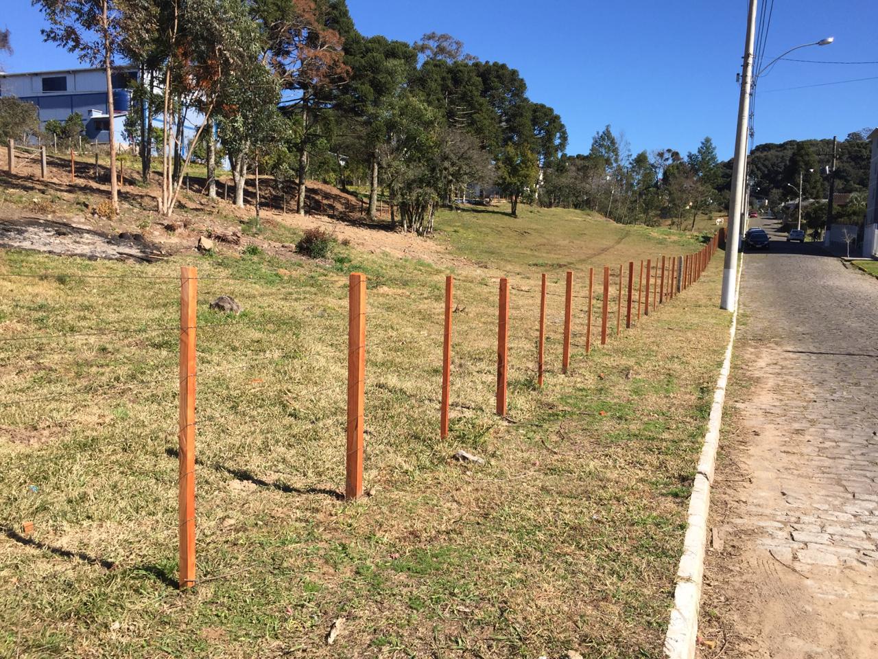 arame farpado  (5).jpeg