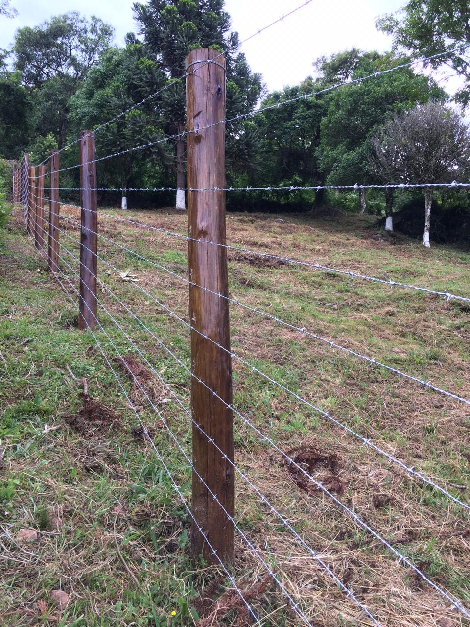 arame f + madeira.jpeg